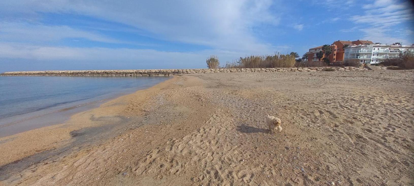 Apartmán Beach View - Primera Linea Lujo Denia Exteriér fotografie